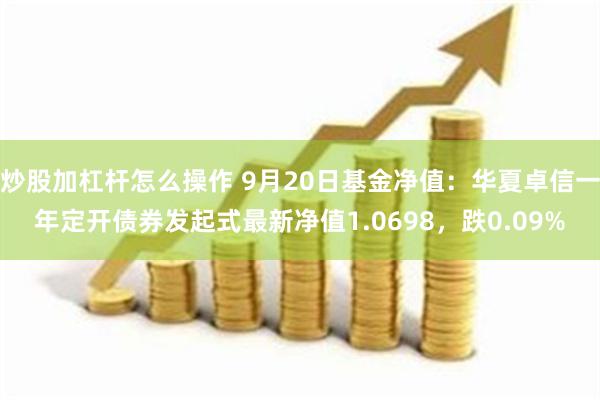 炒股加杠杆怎么操作 9月20日基金净值：华夏卓信一年定开债券发起式最新净值1.0698，跌0.09%