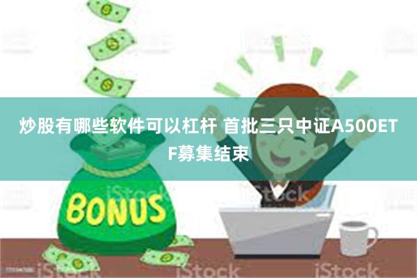 炒股有哪些软件可以杠杆 首批三只中证A500ETF募集结束