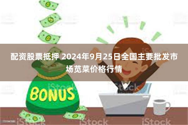 配资股票抵押 2024年9月25日全国主要批发市场苋菜价格行情