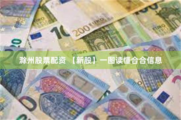 滁州股票配资 【新股】一图读懂合合信息