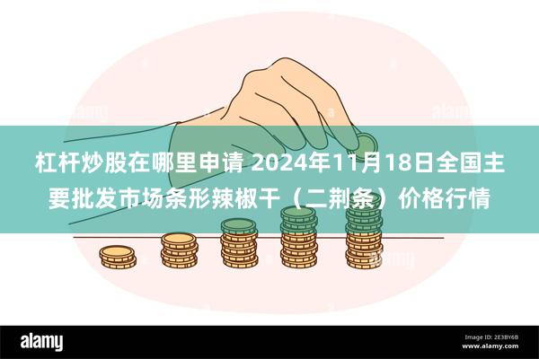 杠杆炒股在哪里申请 2024年11月18日全国主要批发市场条形辣椒干（二荆条）价格行情