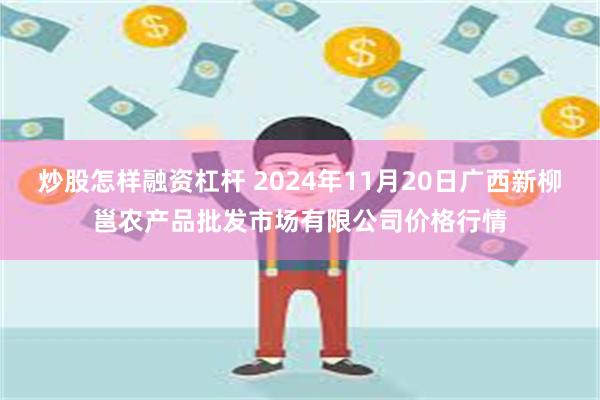 炒股怎样融资杠杆 2024年11月20日广西新柳邕农产品批发市场有限公司价格行情