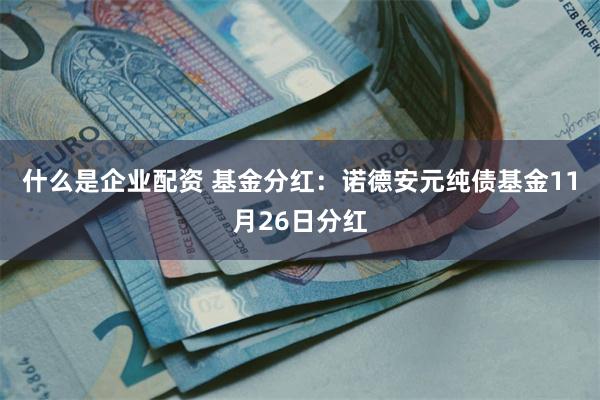 什么是企业配资 基金分红：诺德安元纯债基金11月26日分红