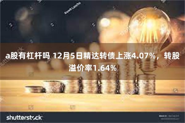 a股有杠杆吗 12月5日精达转债上涨4.07%，转股溢价率1.64%