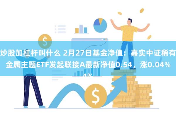 炒股加杠杆叫什么 2月27日基金净值：嘉实中证稀有金属主题ETF发起联接A最新净值0.54，涨0.04%