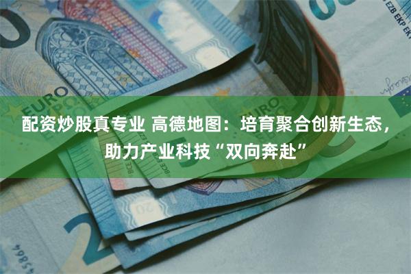 配资炒股真专业 高德地图：培育聚合创新生态，助力产业科技“双向奔赴”